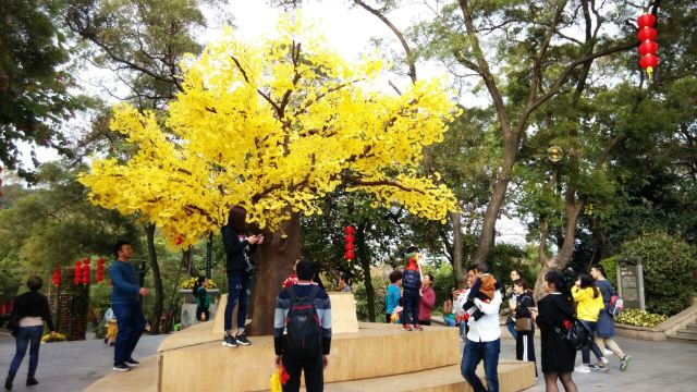 Baiyun Mountain