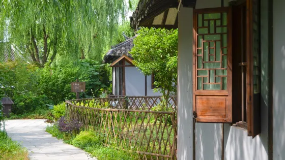 中國農民畫村
