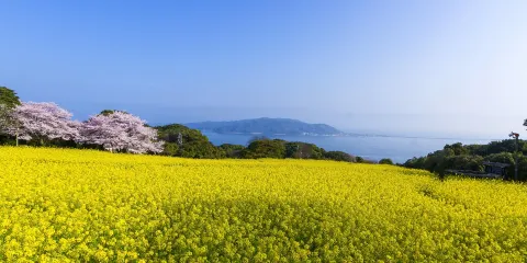 能古島海島公園