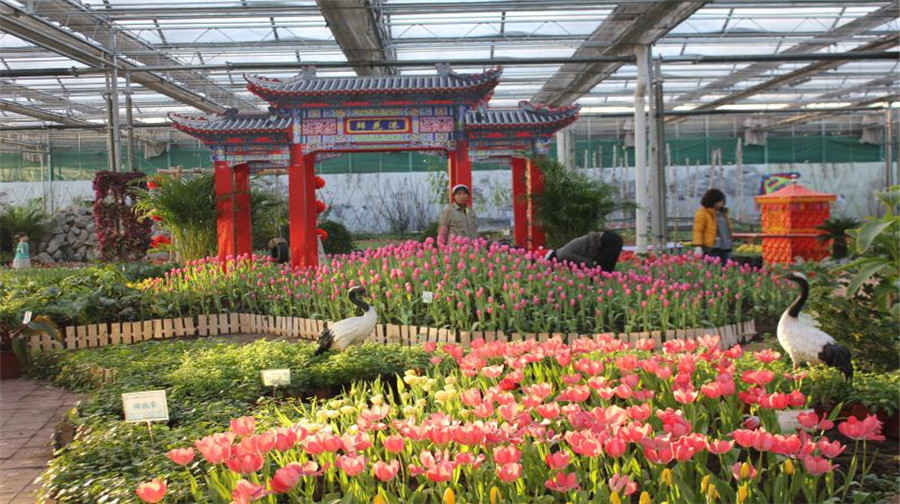 北大荒鲜花港
