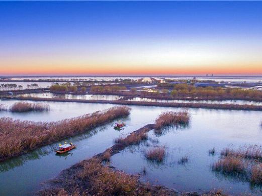高邮湖芦苇荡湿地公园