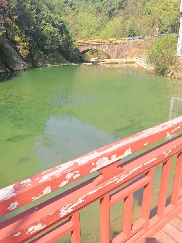 첸다오 비징