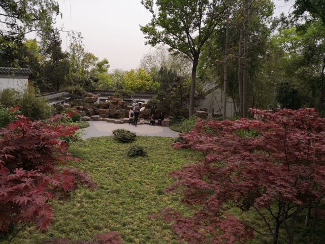 대명사