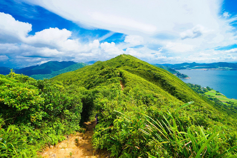香港徒步行，凤凰径、港岛径