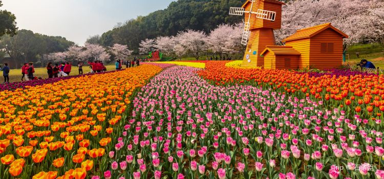 Shangfangshan Hill National Forest Park Tickets Deals - 