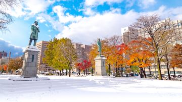 Odori Park
