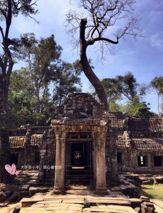Ta Prohm