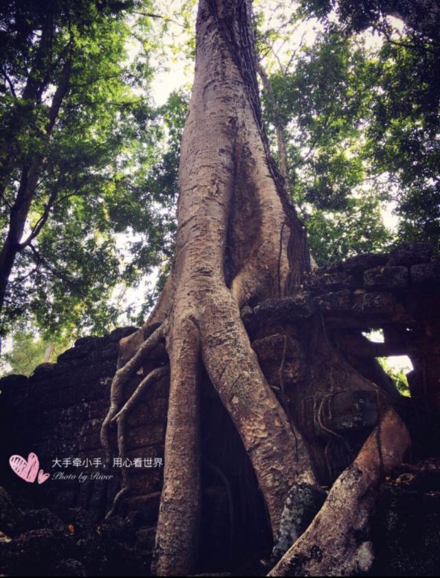 Ta Prohm