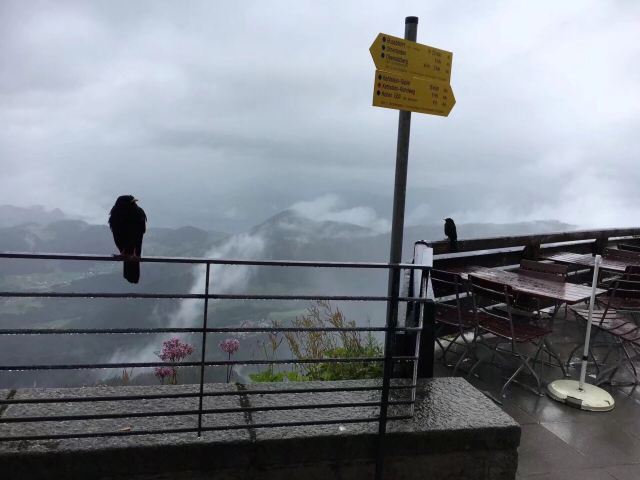 Eagle's Nest