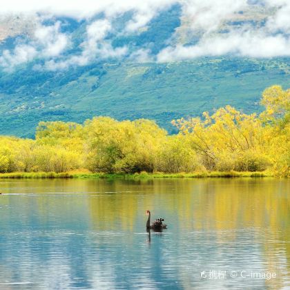 新西兰南岛+基督城+皇后镇+凯库拉观鲸游船9日7晚拼小团