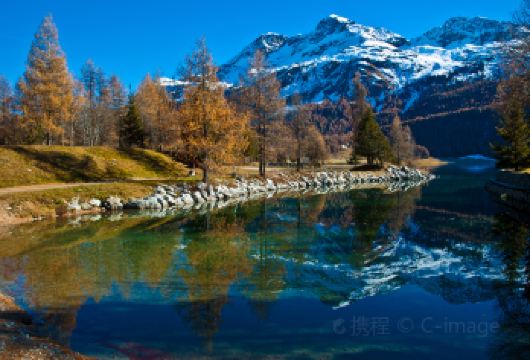 阿尔卑斯山+瑞士圣莫里茨一日游【中文司导行程调整】【精品包车，私享空间，上门接送，轻松出行】