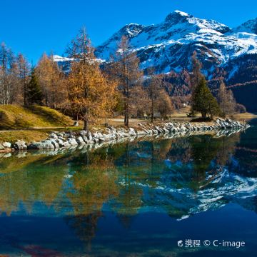 阿尔卑斯山+瑞士圣莫里茨一日游【中文司导行程调整】