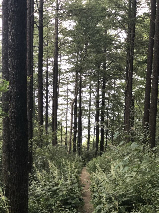 莫干山景區