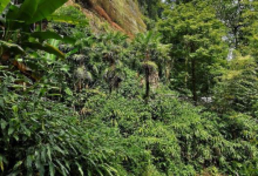 玉泉流觞景点图片