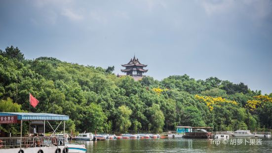 Longxing Island