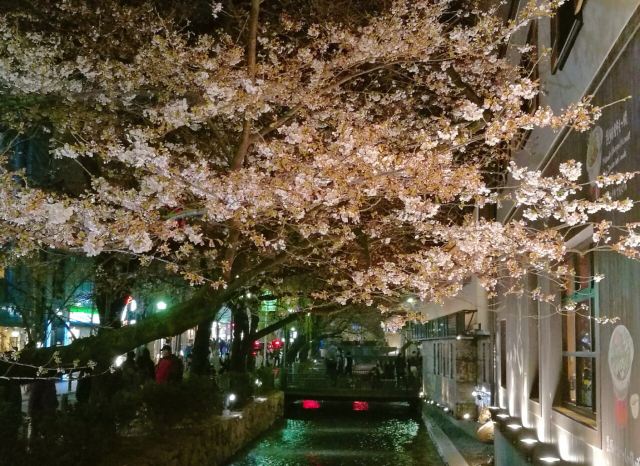 Kiyamachi Street