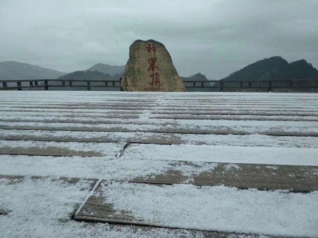 神农顶景区下雪啦