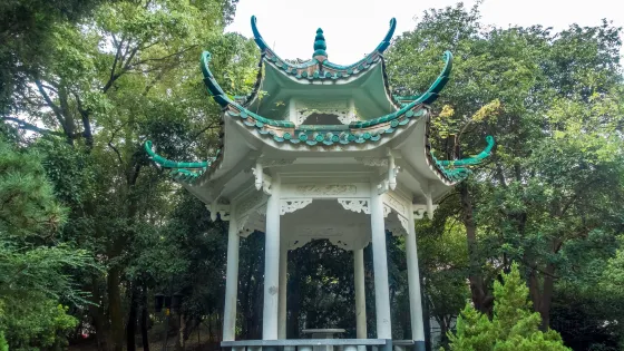 菊花塘公園
