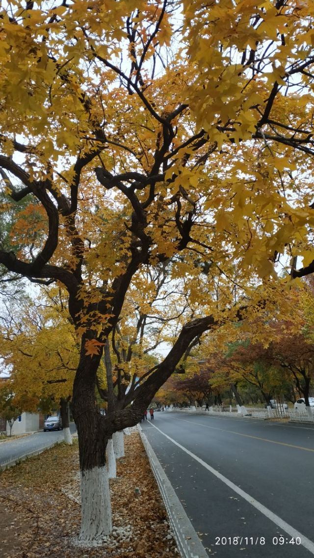 태양골