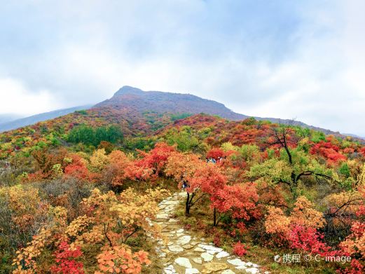 坡峰岭