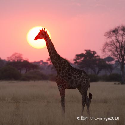 南非+纳米比亚+博茨瓦纳+津巴布韦+赞比亚+埃塞俄比亚21日跟团游