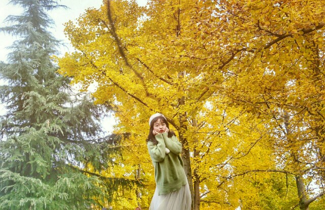 秋日最in穿搭【网红慵懒风毛衣+白纱裙】秋天也要做个美美哒的小仙女。 拍银杏的话，穿白色或者红色都好