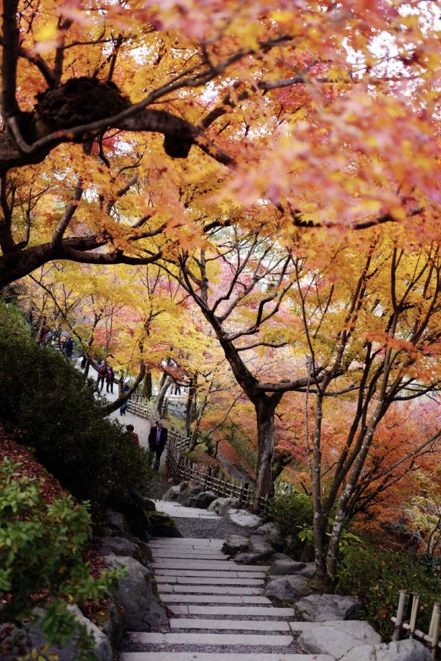 Tofukuji Temple