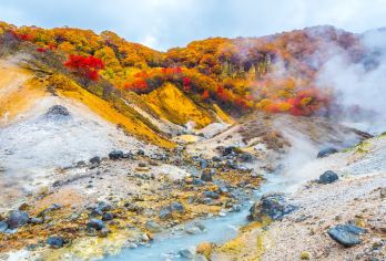 日本北海道登别洞爷湖一日游【可选9人精品团酒店接送|纯玩】【[精选纯玩]登别地狱谷+洞爷湖+昭和新山和熊牧场，精选景点不走寻常路，纯玩不进店】