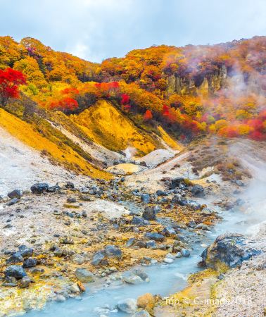 8D7N • Japan Hokkaido Tour- Seasonal Highlights in Summer & Autumn