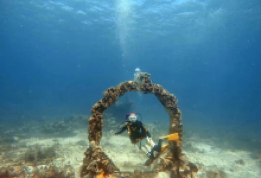 坎昆水下博物馆景点图片