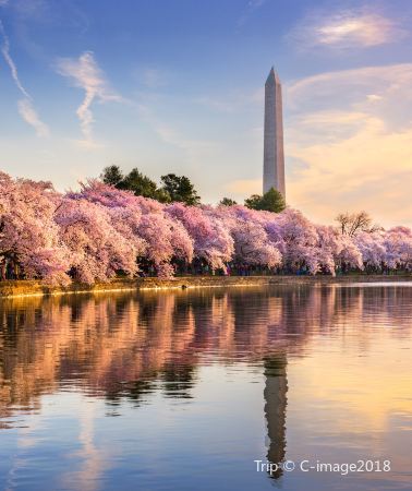 11D10N • New York + Philadelphia + Washington D. C. + Boston - Three Days of Free Time in New York