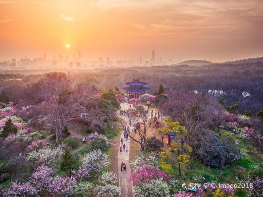 梅花山