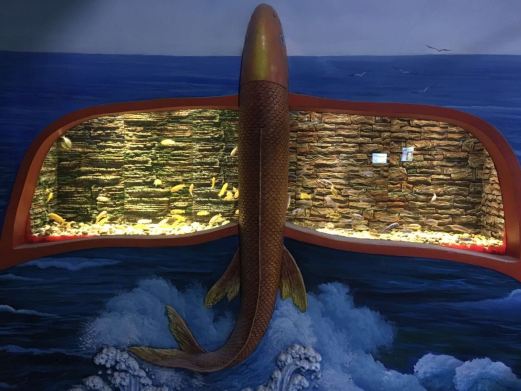 镜湖湿地海洋世界