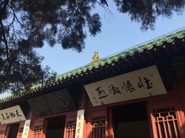 탕음악비묘