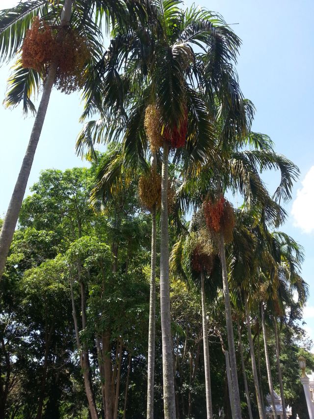 Wat Yansangwararam