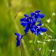 慢半拍的李小雨同学