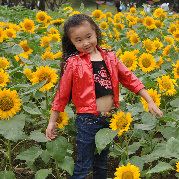 最最可爱的北极熊