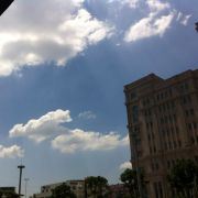 自由的芭芘娃娃