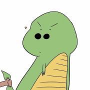 蔷薇树上的苹果