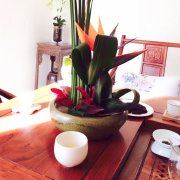 希奇又特别哈哈