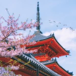 Kyoto