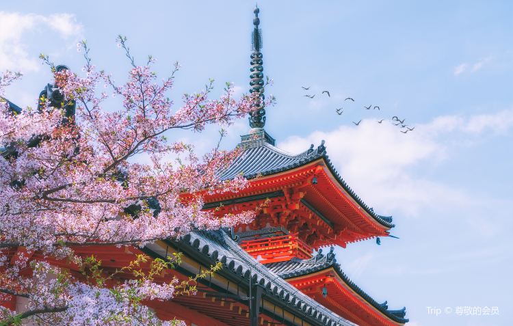 京都