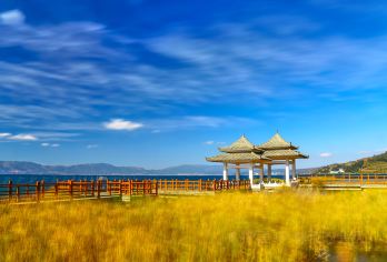 玉溪抚仙湖+澄江广龙抚海湾+禄充风景区【纯玩包车 上门接送】【独立包车，真正纯玩自由行】