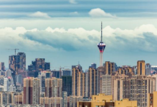 天府熊猫塔景点图片