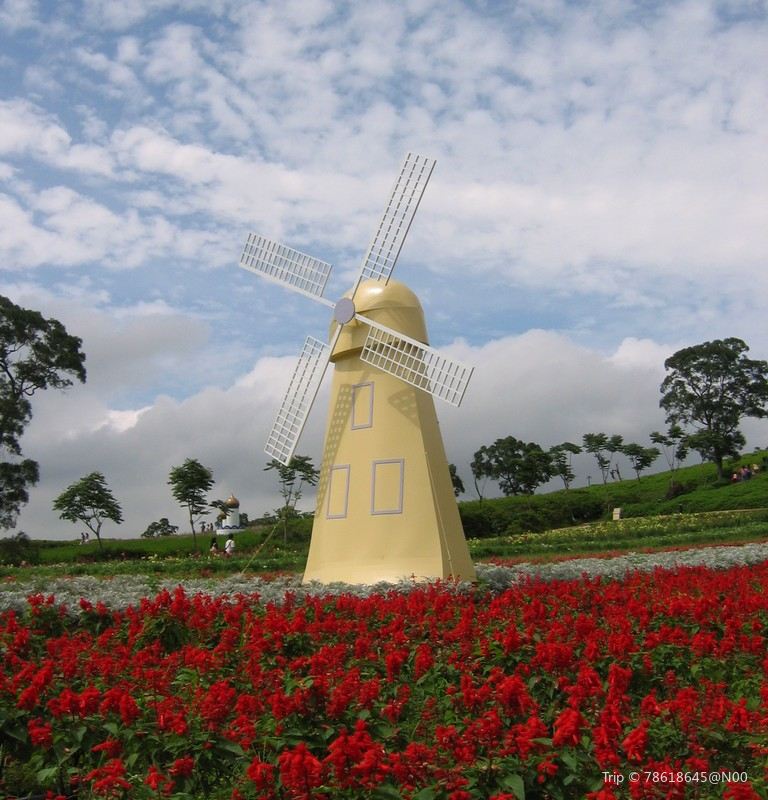 Daxi Blooming Oasis Tickets Deals Reviews Family - 