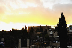 耶路撒冷游记图片] 徘徊在流奶与蜜之地，徜徉于星月之国（十）——伯利恒见闻和哭墙奇遇