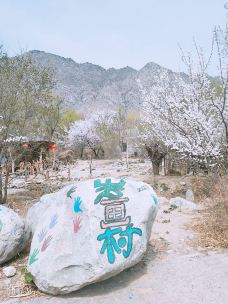 岩画古村餐饮-贺兰-呆呆