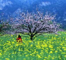 墨潭桃花岛-吉水-AIian