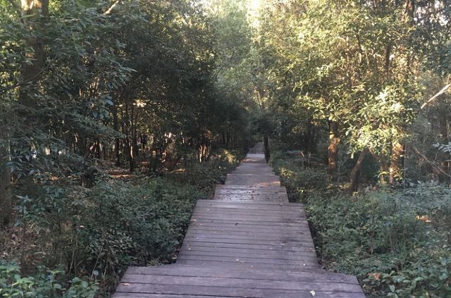 潜山国家森林公园旅行图片 2