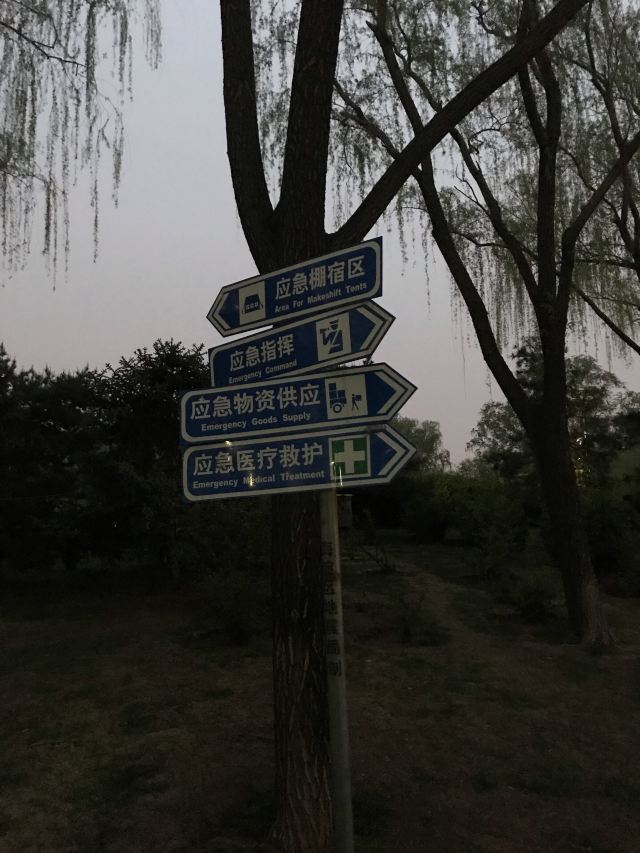 阳光星期八公园旅行图片 7